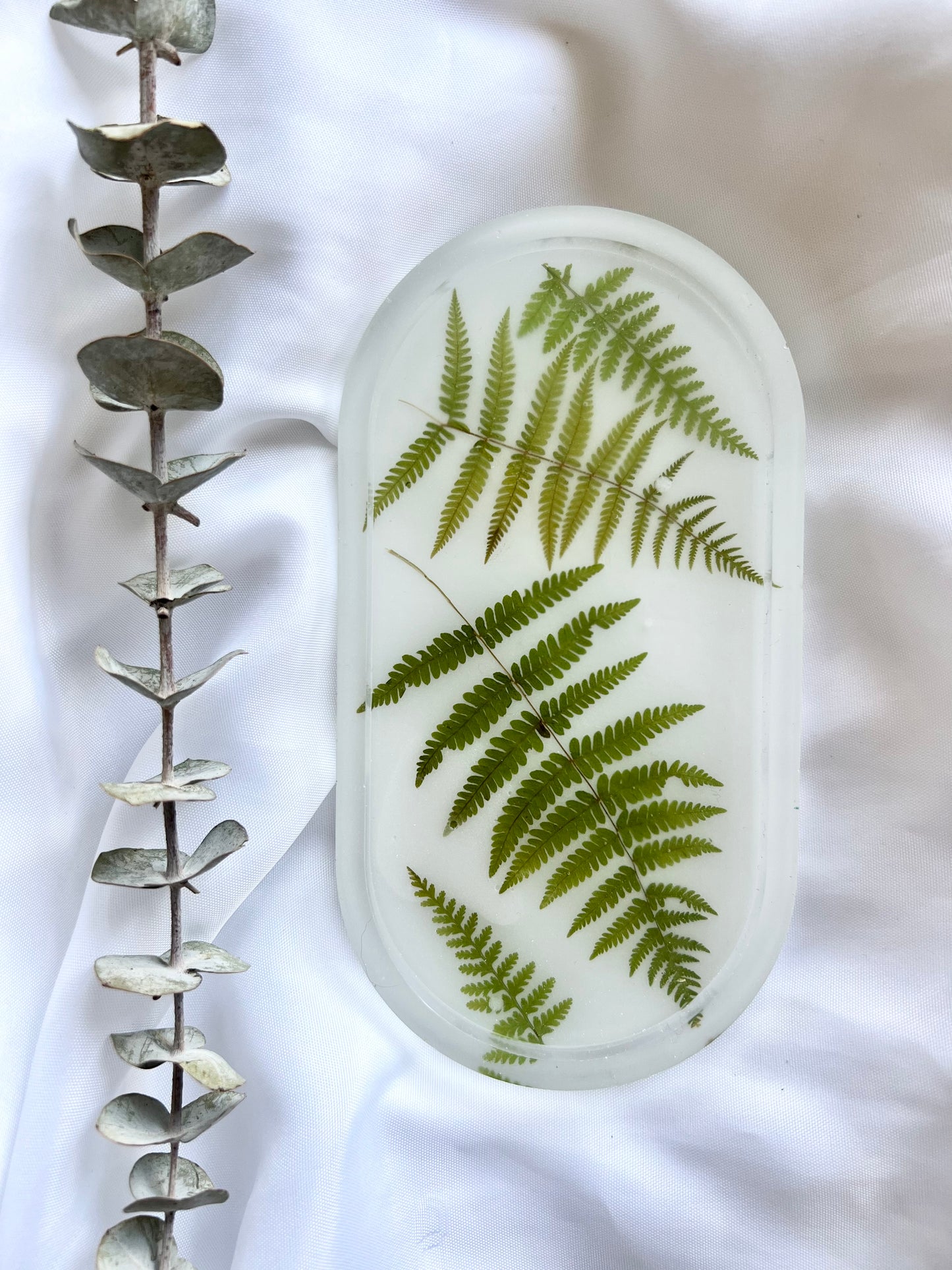 Assorted Ferns Trinket Tray