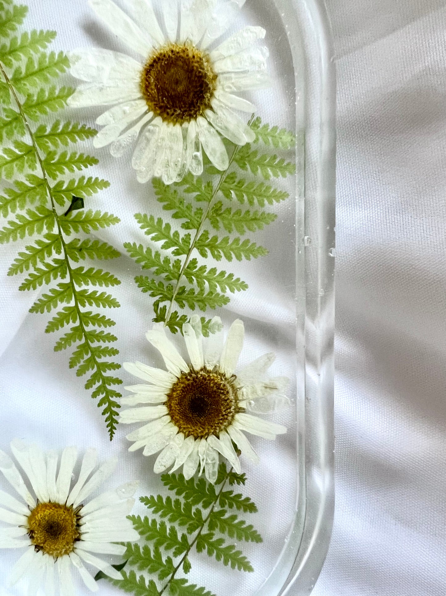 Daisy and Fern Trinket Tray