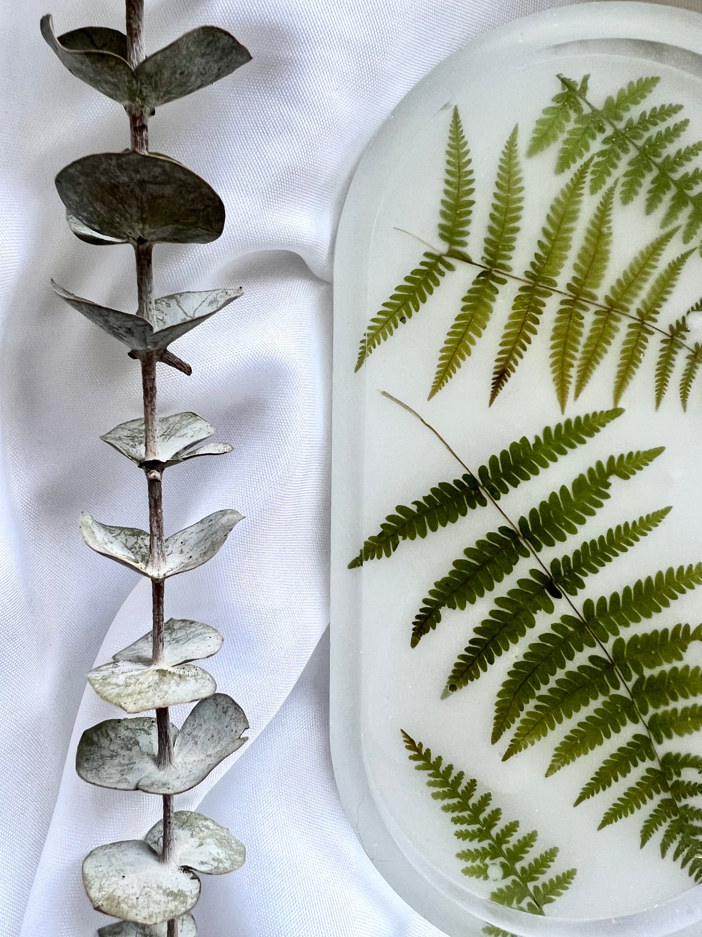 Assorted Ferns Trinket Tray