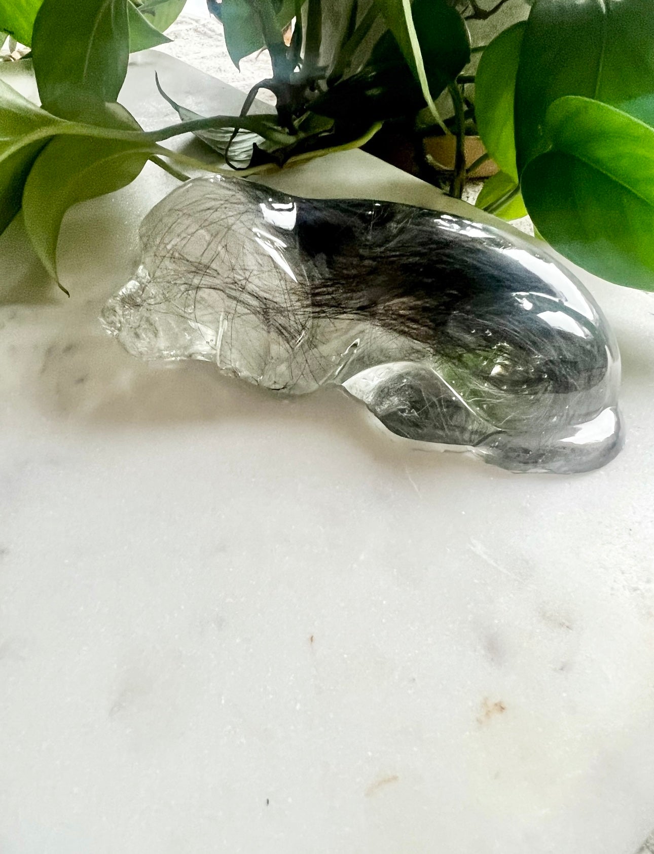 Pet Hair Memorabilia