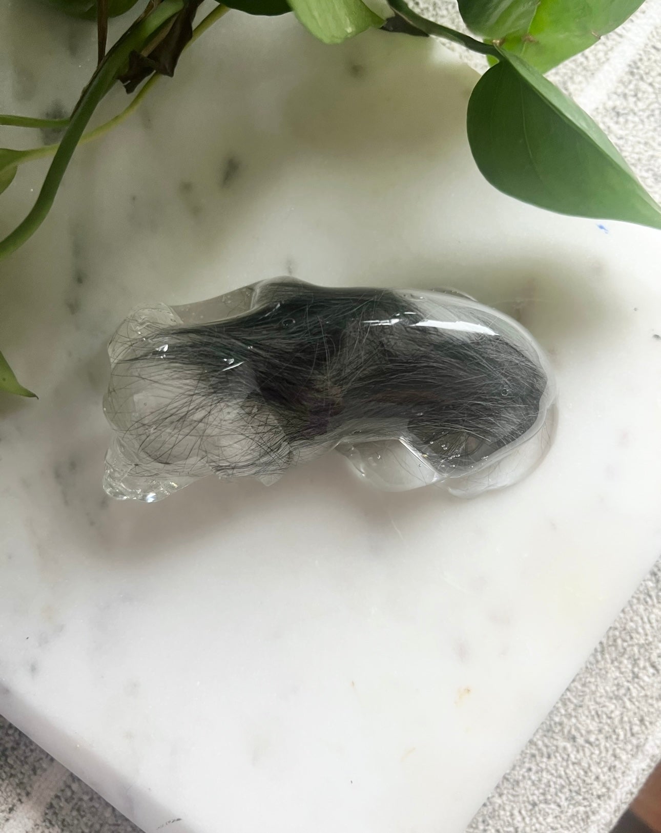 Pet Hair Memorabilia