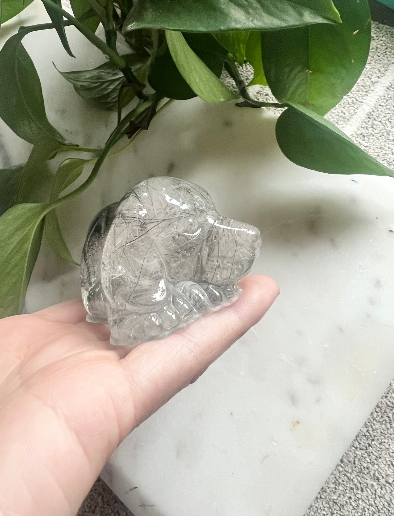Pet Hair Memorabilia