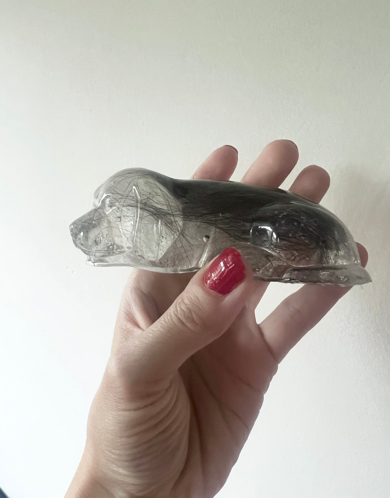 Pet Hair Memorabilia