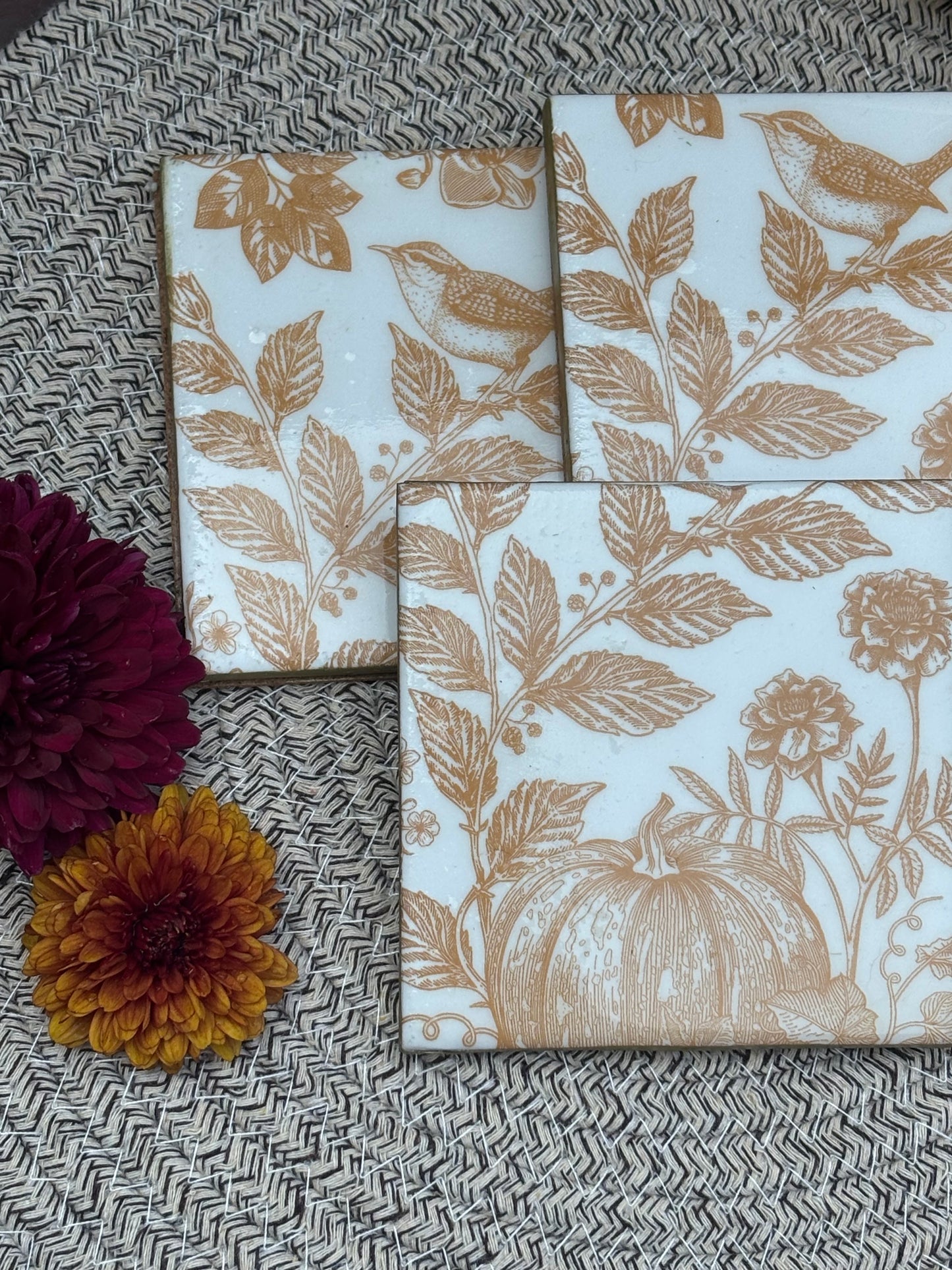 Pumpkin / Bird Print Ceramic Coasters