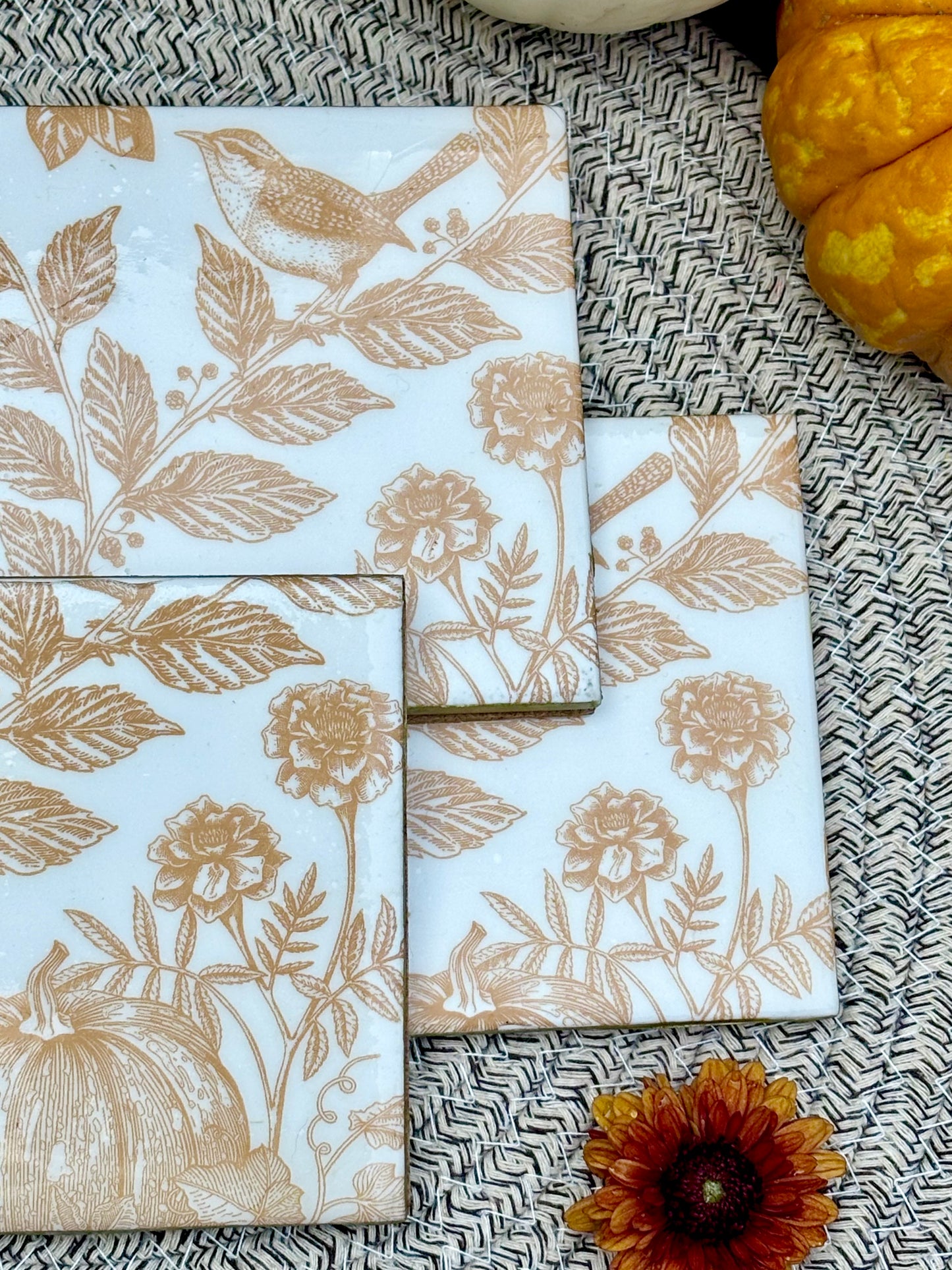 Pumpkin / Bird Print Ceramic Coasters