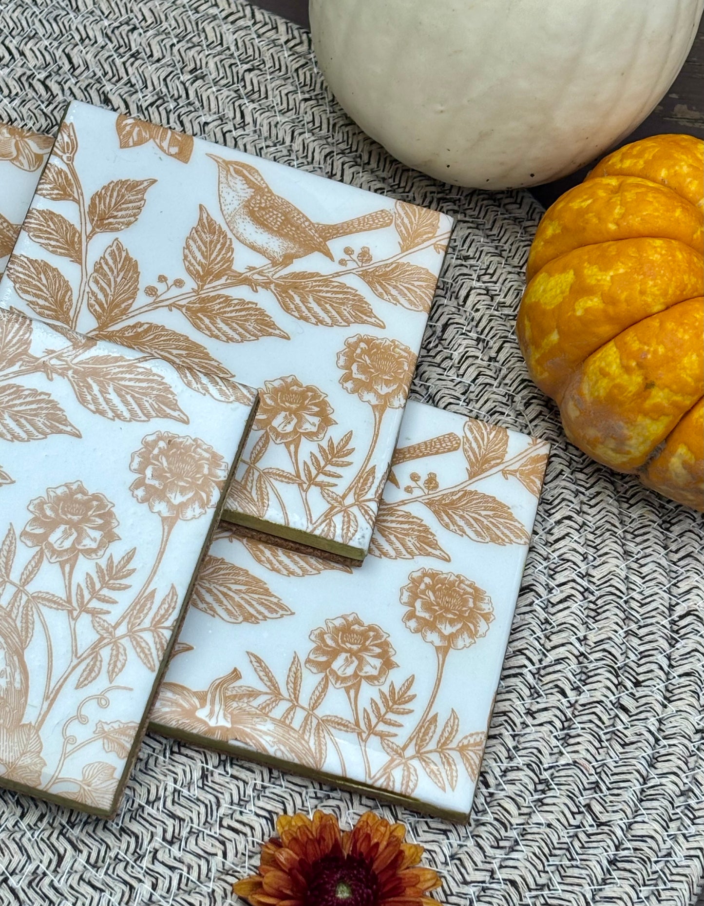 Pumpkin / Bird Print Ceramic Coasters
