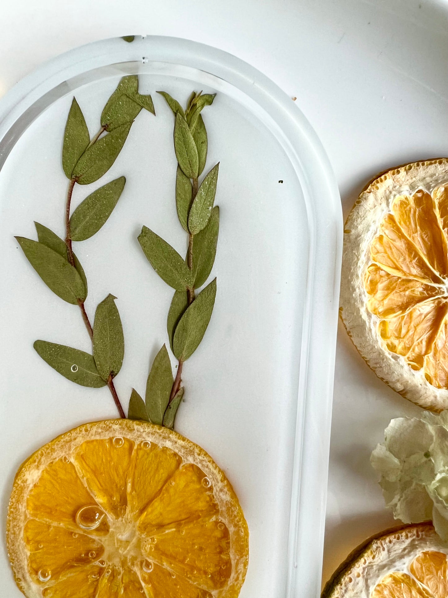 Sprigs of Orange Tray