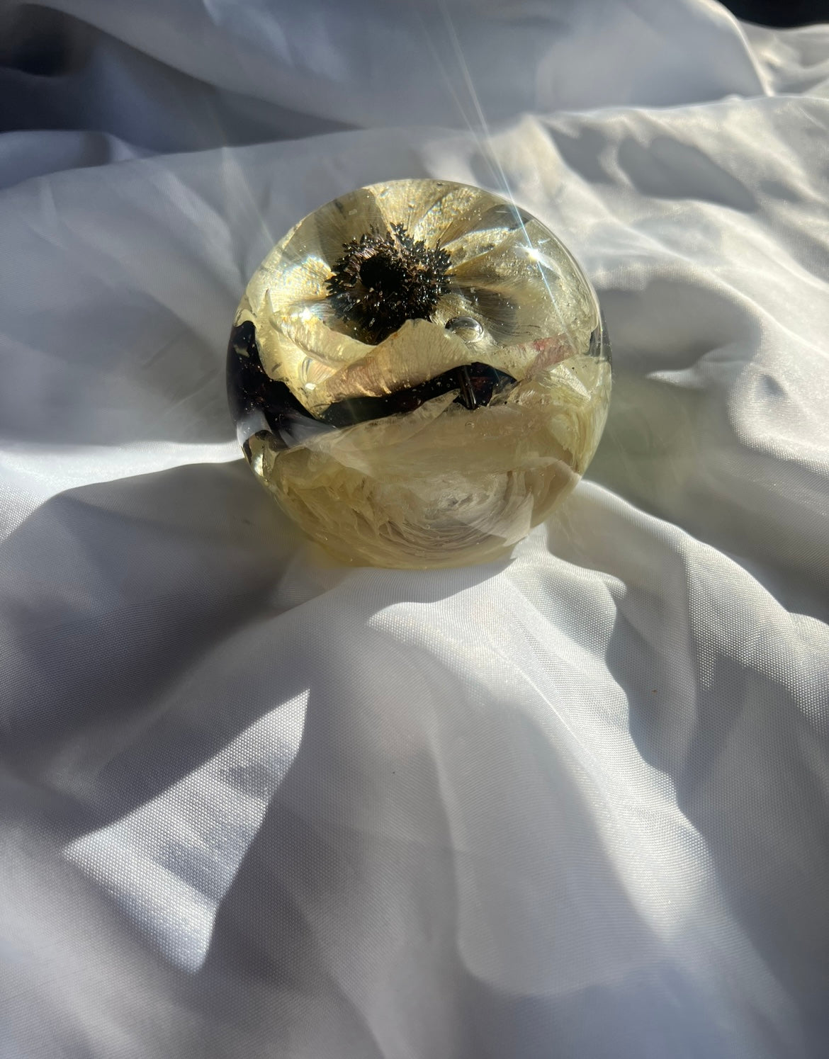Floral Preservation Paperweight