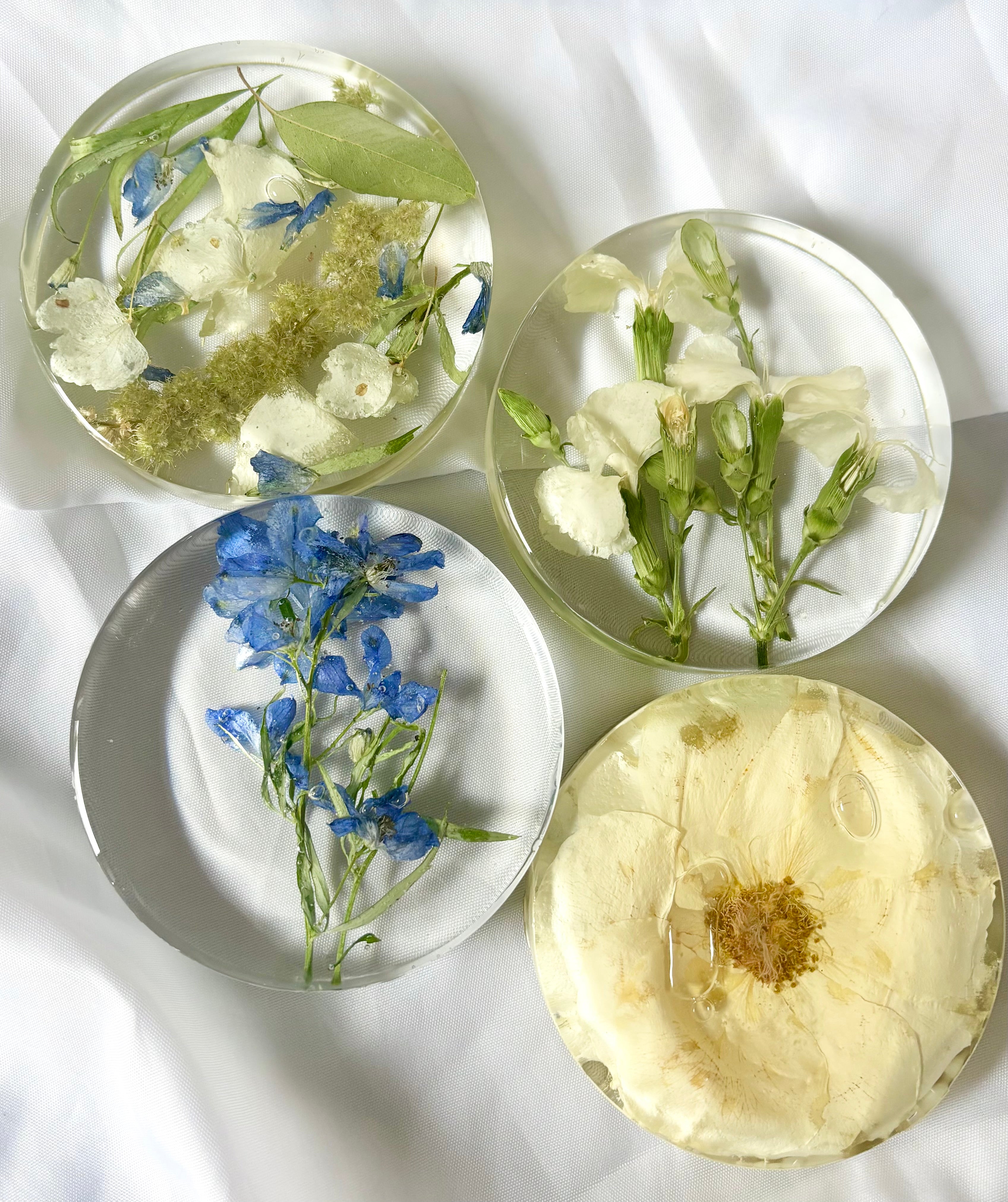 Preserved Pressed Flower Coasters (Set of 4)