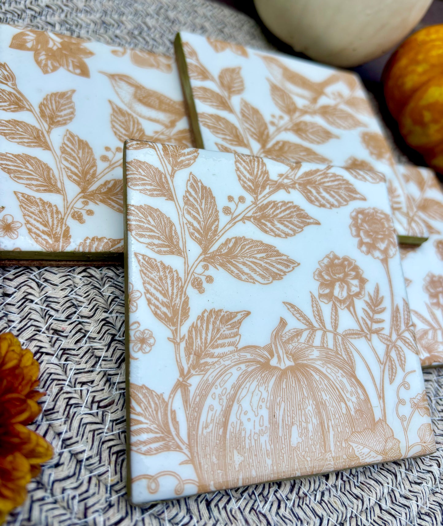 Pumpkin / Bird Print Ceramic Coasters