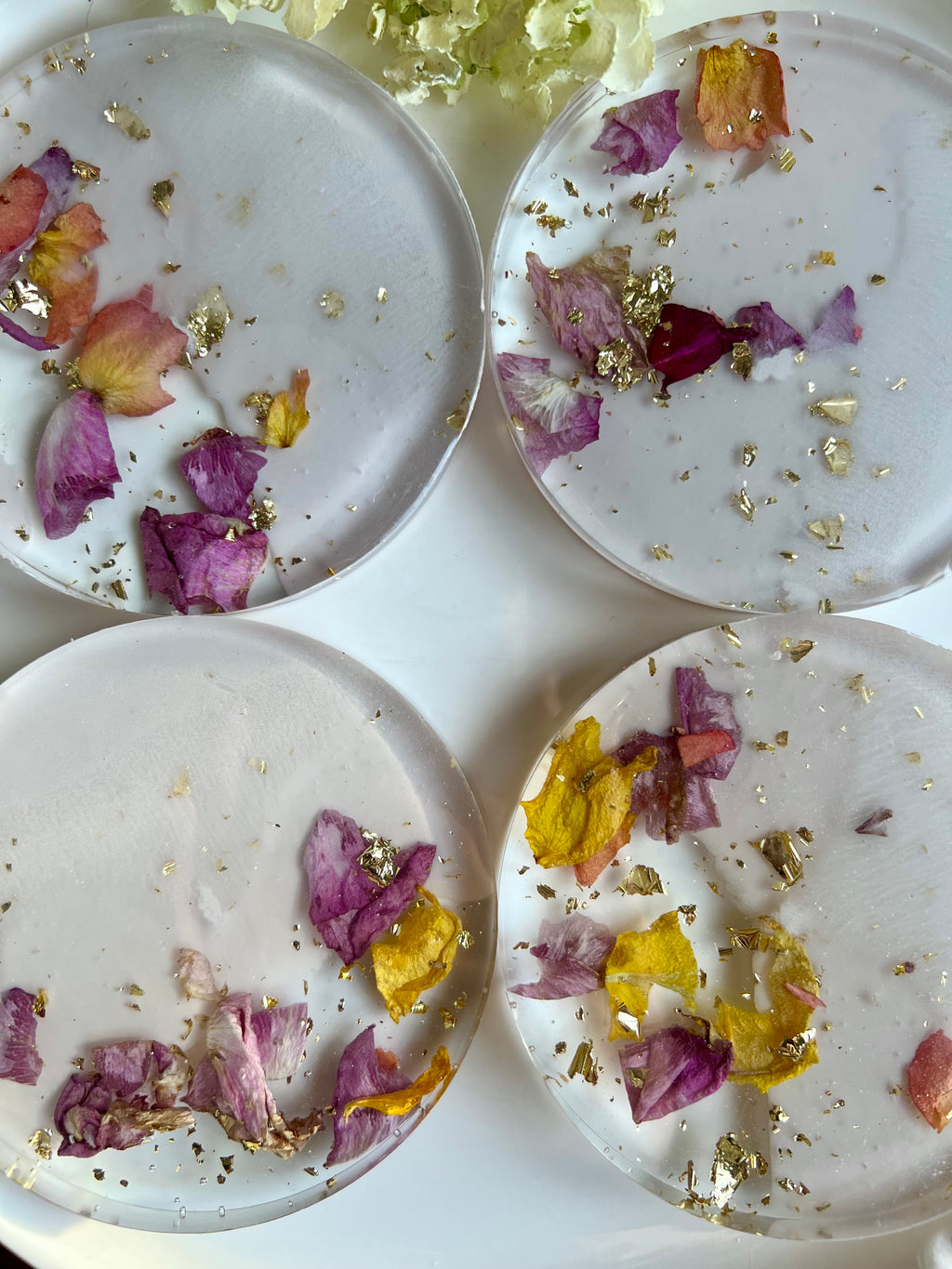 Preserved Pressed Flower Coasters (Set of 4)