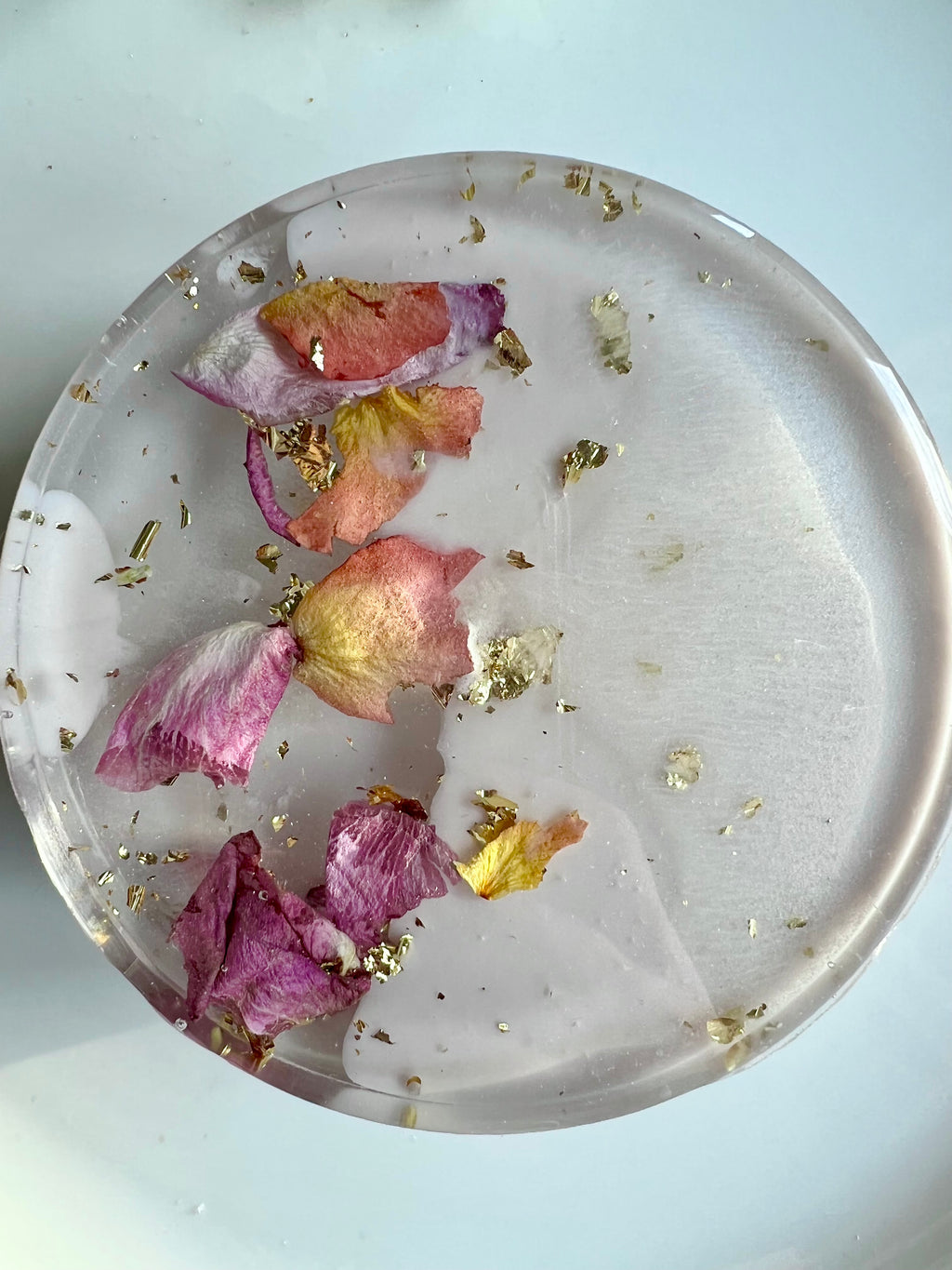 Preserved Pressed Flower Coasters (Set of 4)
